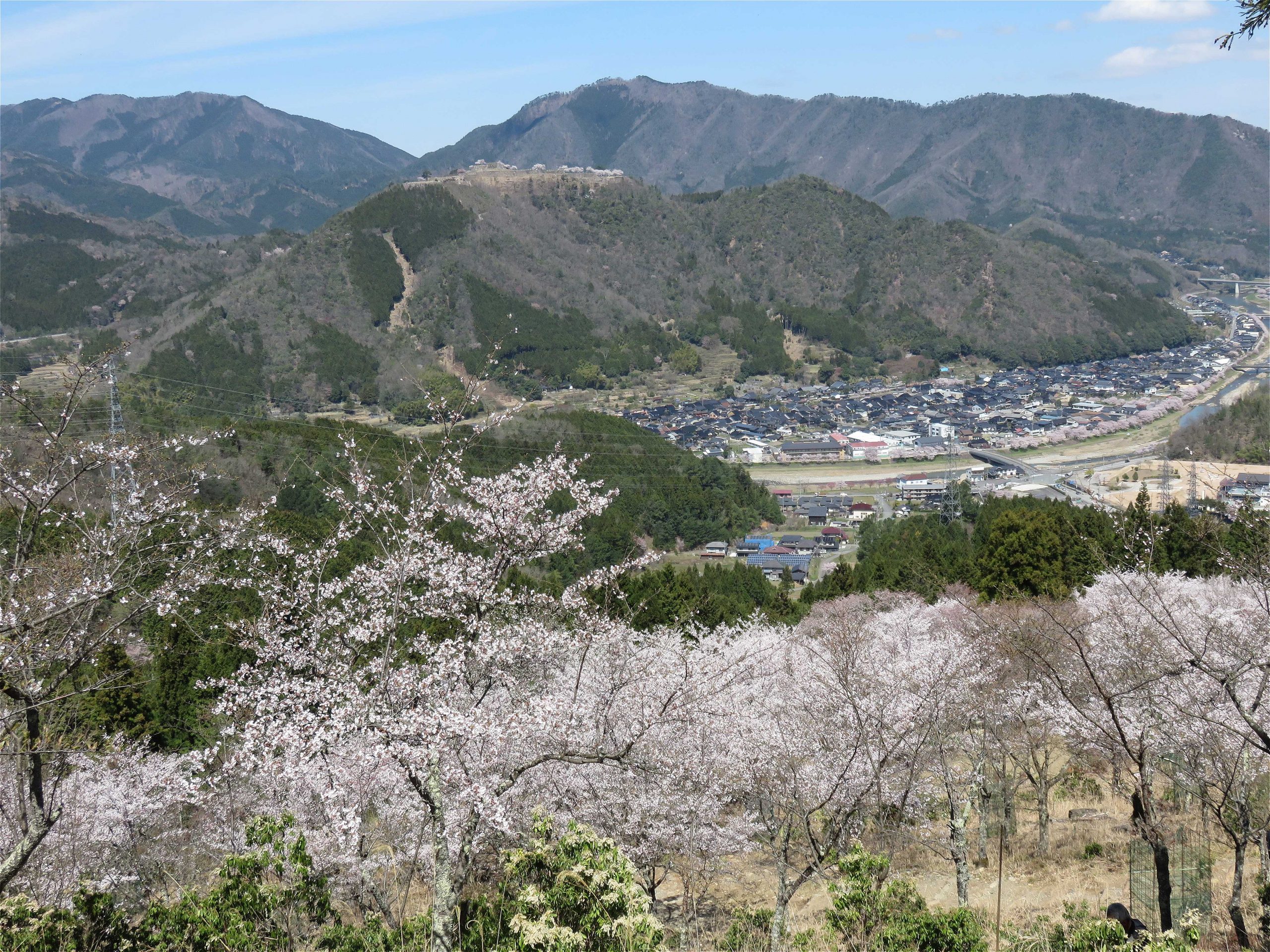 みどころ | 竹田区 立雲峡公式ホームページ
